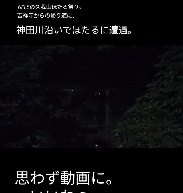 6/7.8の土日は久我山ほたる祭りでした